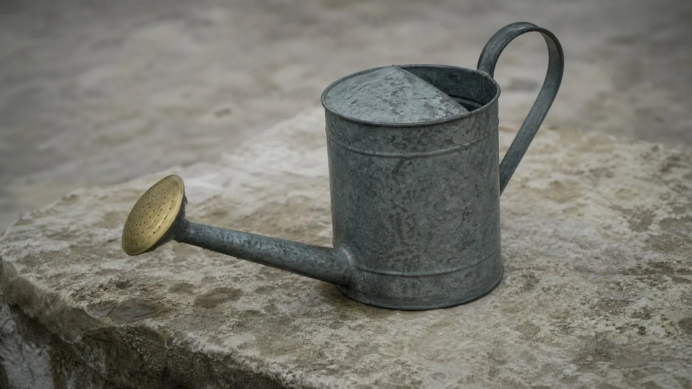 A galvanised watering can standing on a stone step, its rose pointing down.