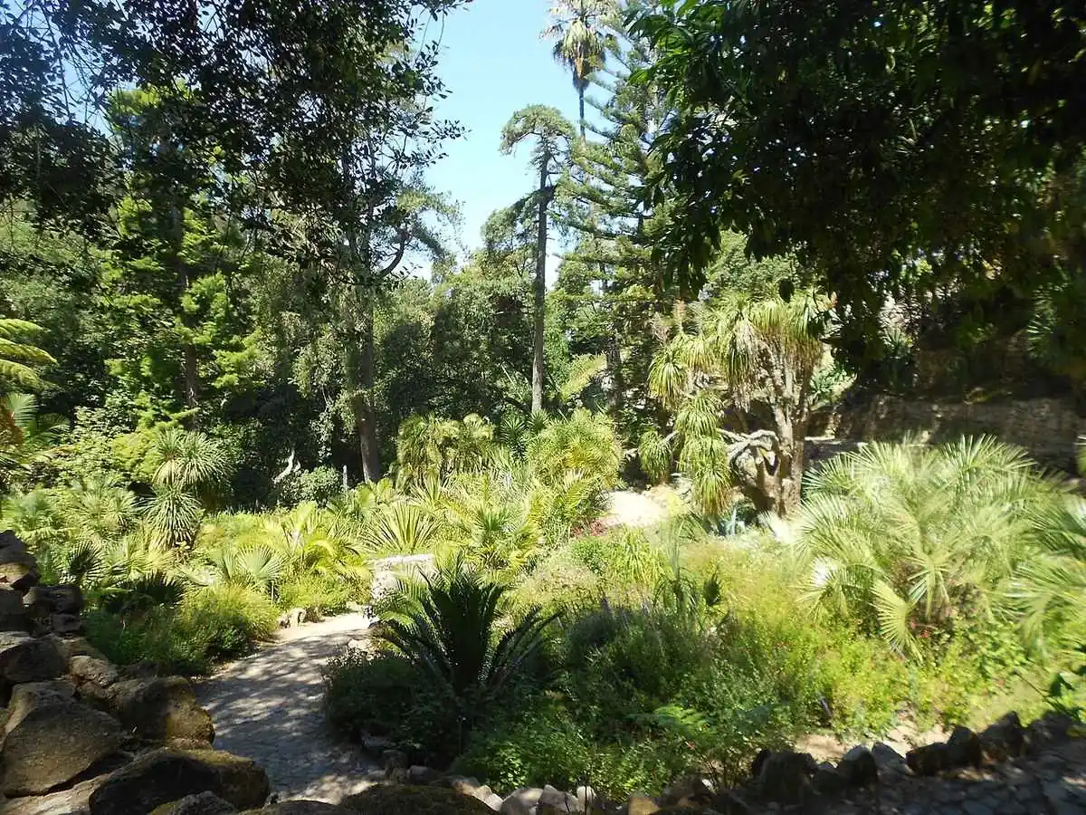 Agaves, palms and dry-country planting along a path in the Mexican Garden